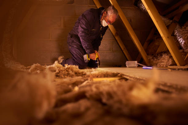 Best Cellulose Insulation in Lynwood, CA